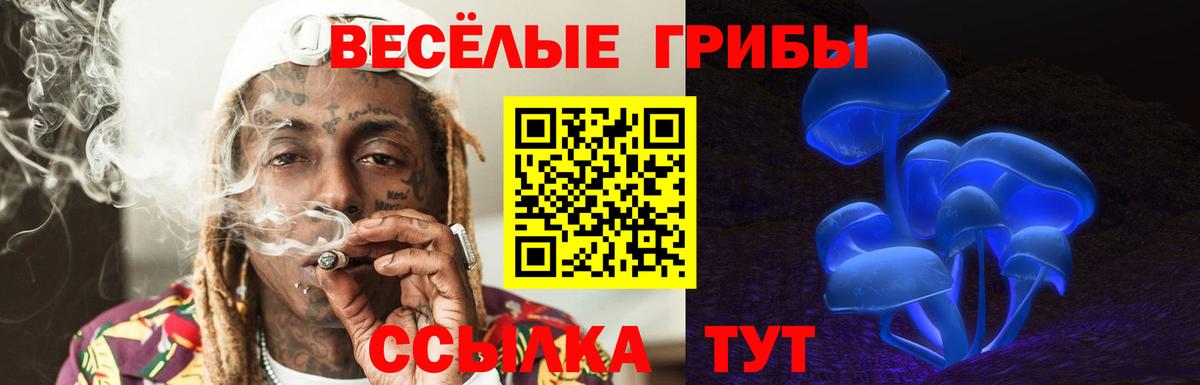 Пенза  Псилоцибиновые грибы мицелий  Вход с VPN 