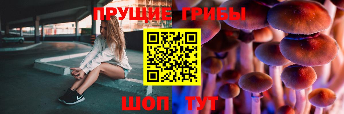Галлюциногенные грибы мухоморы Пенза